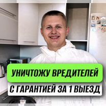 Уничтожение тараканов, клопов, плесени, запаха