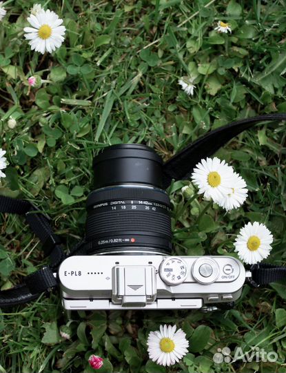 Фотоаппарат olympus pen e-pl8 kit