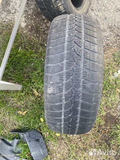 Tigar Winter 1 195/55 R16