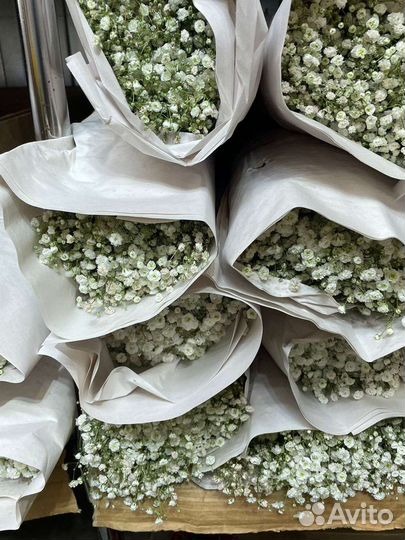 Гипсофила модные Букеты на 1 сентября