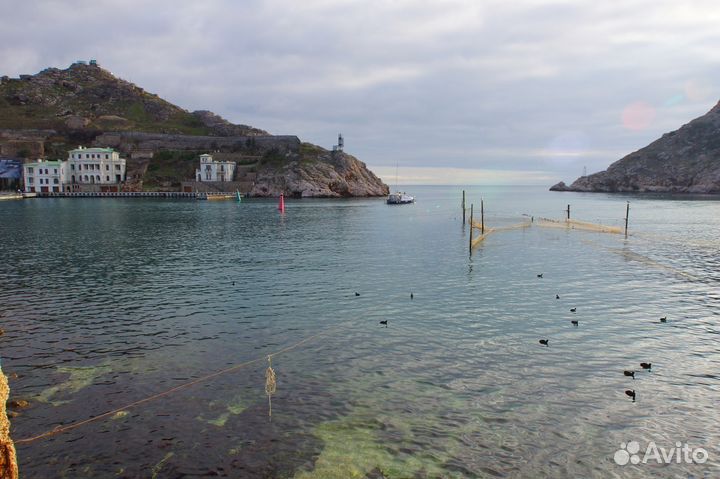 Sony DT 11-18mm F4.5-5.6(новый)