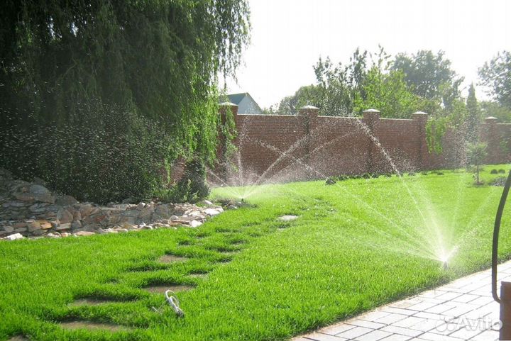 Рулонный газон. Укладка + Автополив