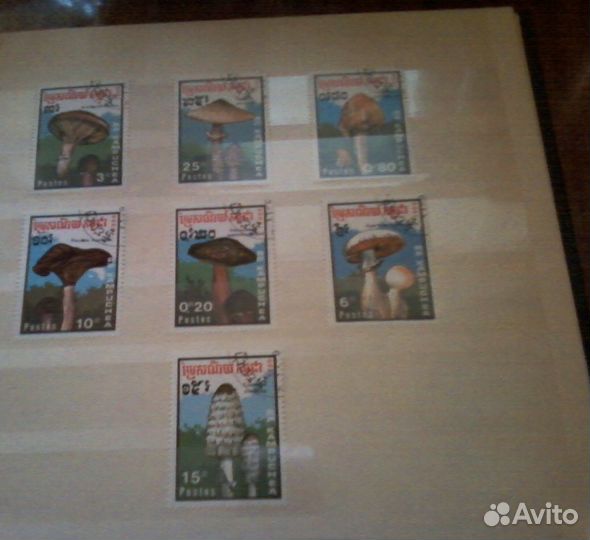 Грибы (1989, Кампучия)