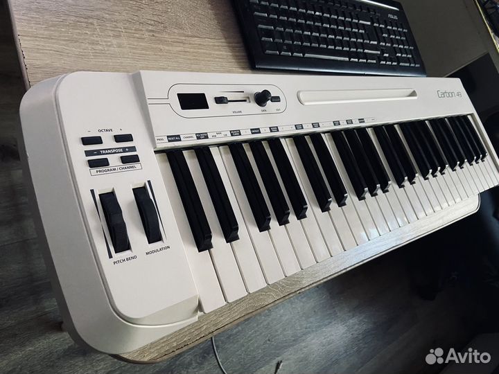 Midi клавиатура Samson Carbon 49 + сумка переноска