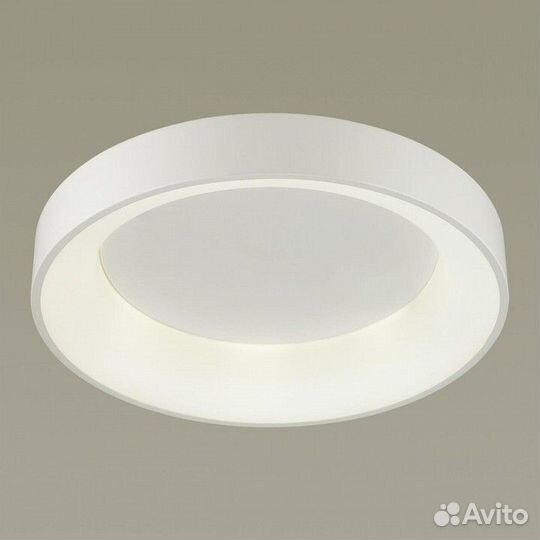 Накладной светильник Odeon Light Sole 4066/40CL