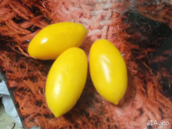 Помидоров семена