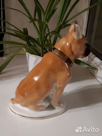 Фарфоровая статуэтка собака 