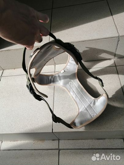 Шлейка для собаки