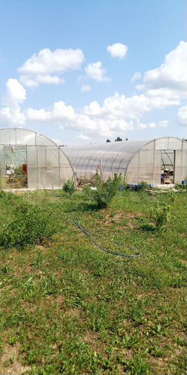 Участок 3 га (СНТ, ДНП)