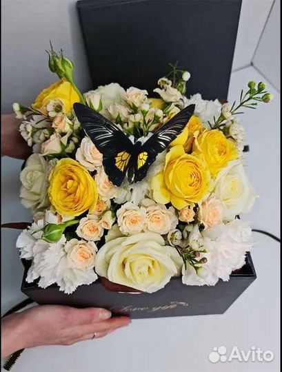 Живые бабочки на 8 марта предзаказ