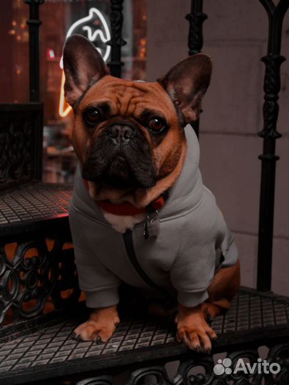 Услуги фотографа