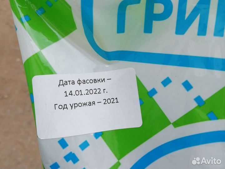 Газонная трава