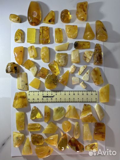 Балтийский янтарь