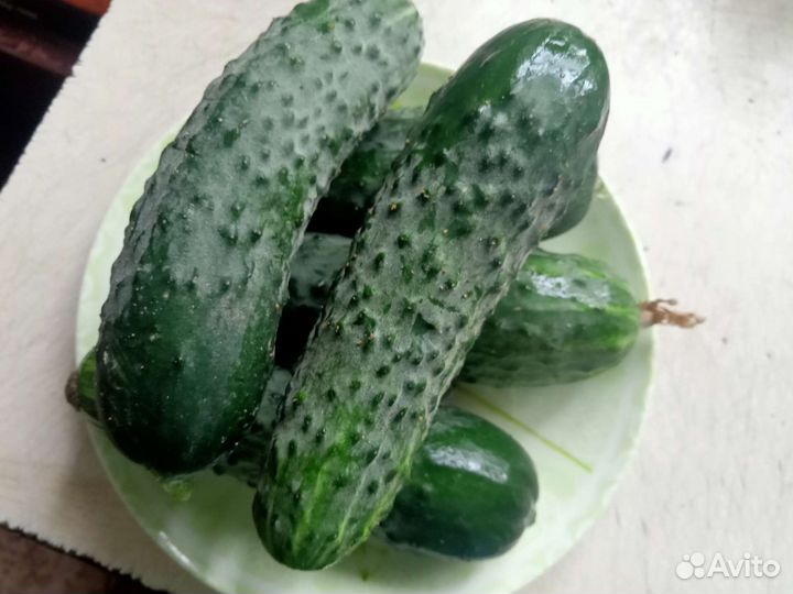 Варенье.соленья,огурцы св. чеснок