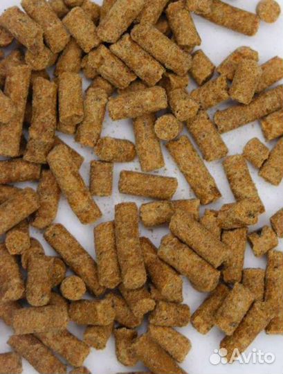 Сухой корм для собак