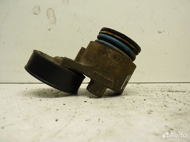 Натяжитель ремня обводного 820048486 Рено Канго