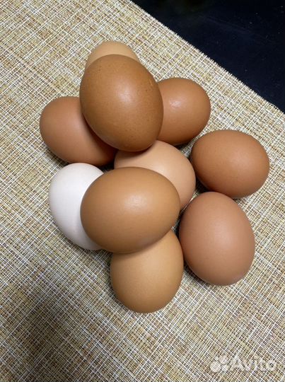Домашние куриные яйца