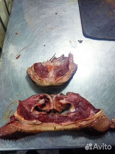 Корм для животных