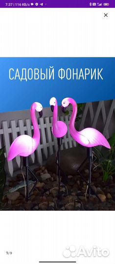 Вламинго на солнечной батарее