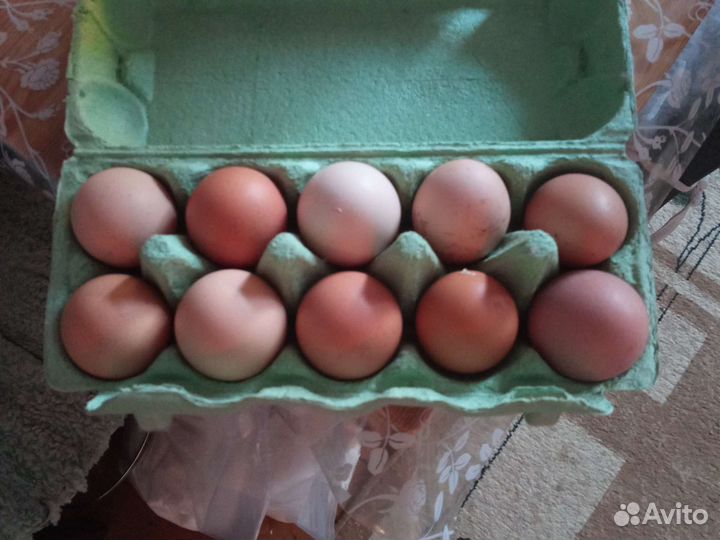 Яйца крупные