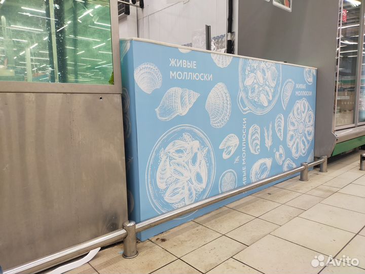 Бизнес по продаже живых устриц