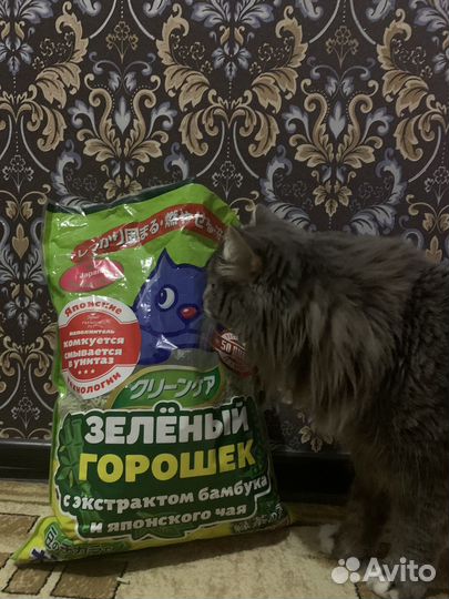 Наполнитель для кошачьего туалета