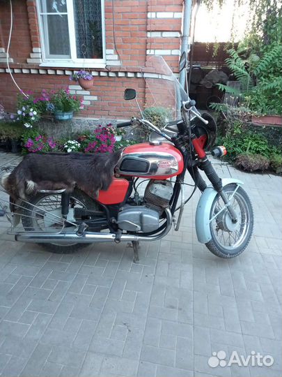 Ява 350 634 6 вольт