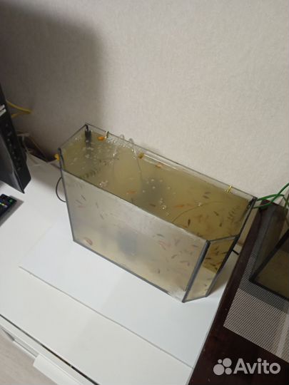 Аквариум 15л