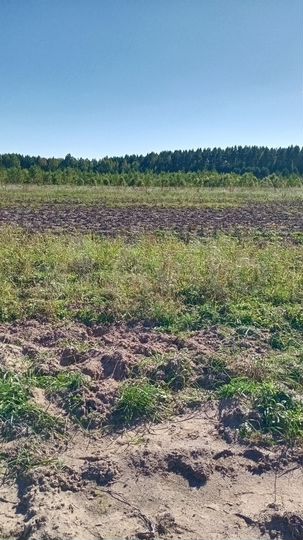 Участок 100 сот. (СНТ, ДНП)