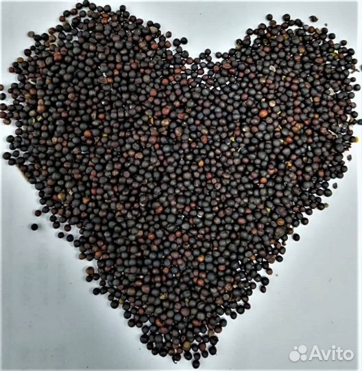 Продам рапс