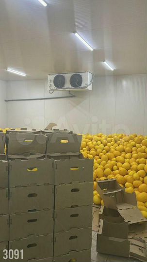 Склад с холодильниками