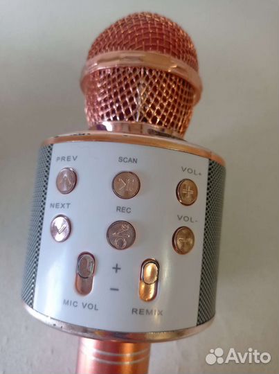 Колонка с микрофоном