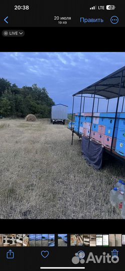 Продаю натуральный мед