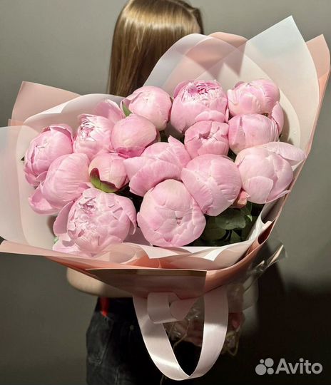 Голландские пионы