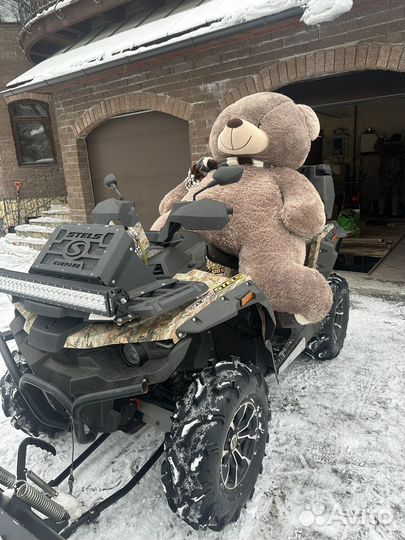 Большие плюшевые медведи