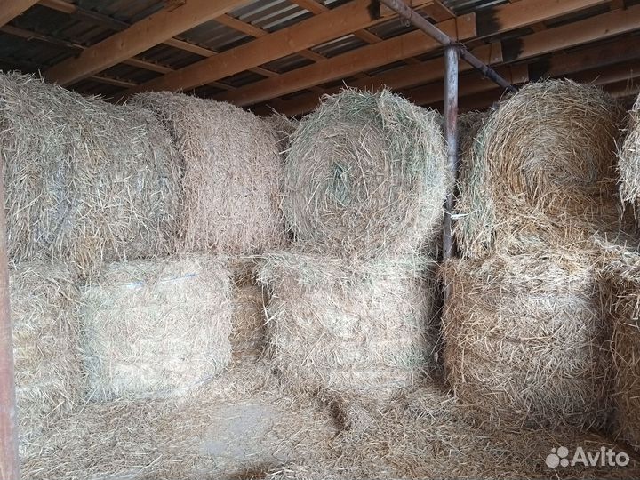 Продам солому