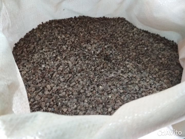 Лузга гречихи (Шелуха)