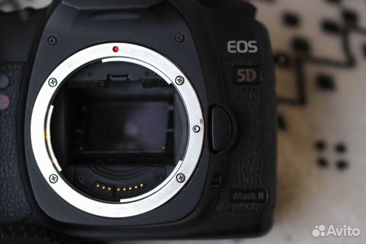 Canon EOS 5D Mark II Body