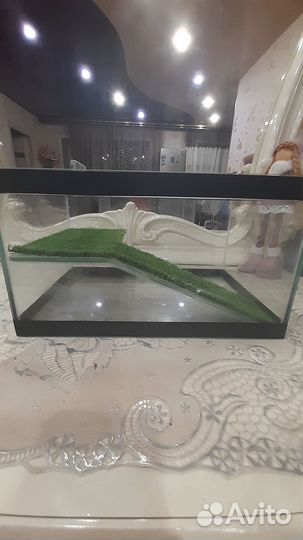 Аквариум для черепах