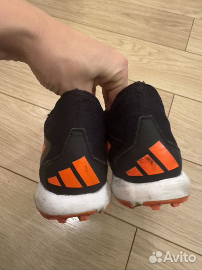 Сороконожки adidas predator