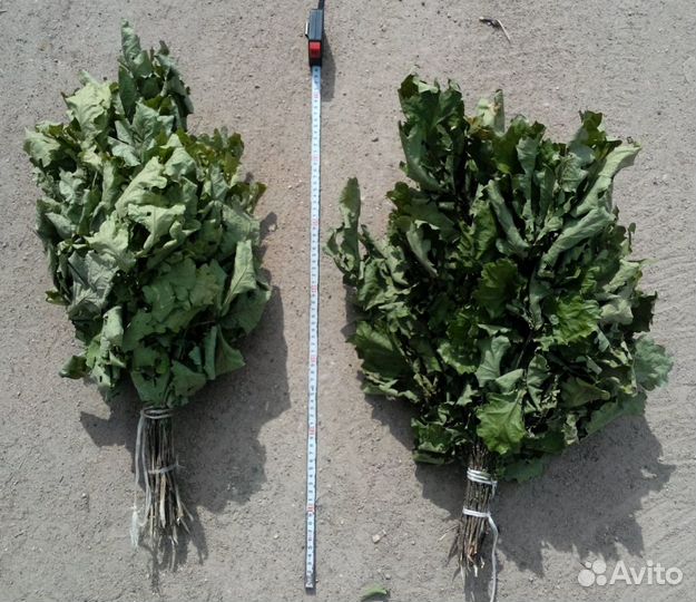 Веники банные