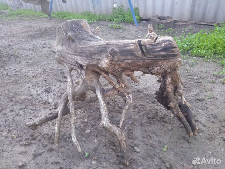 Шедевр Природы