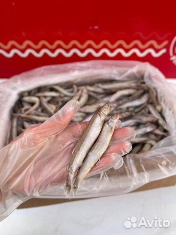 Мойва штучная заморозка