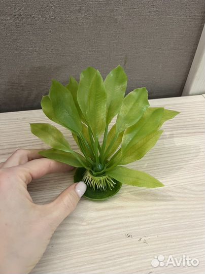 Аксессуары для аквариума