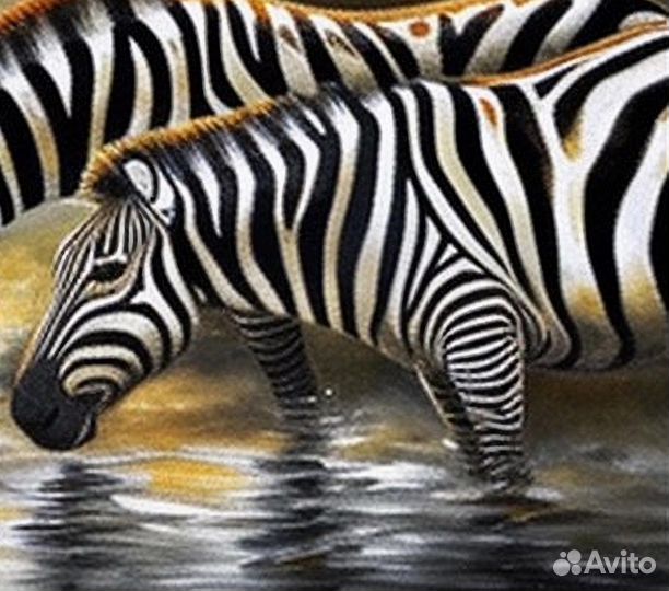 Большая картина маслом с любовью Зебры у источника