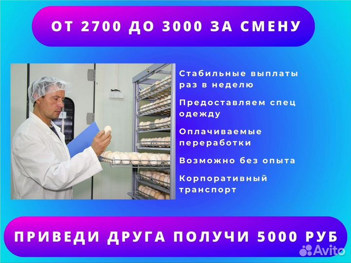 Разнорабочие