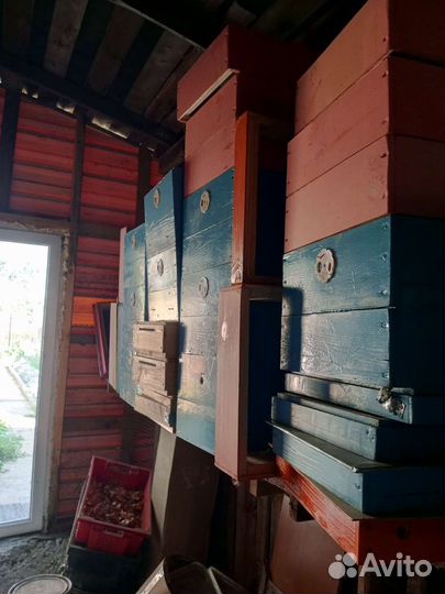 Пчелы бакфаст, улья