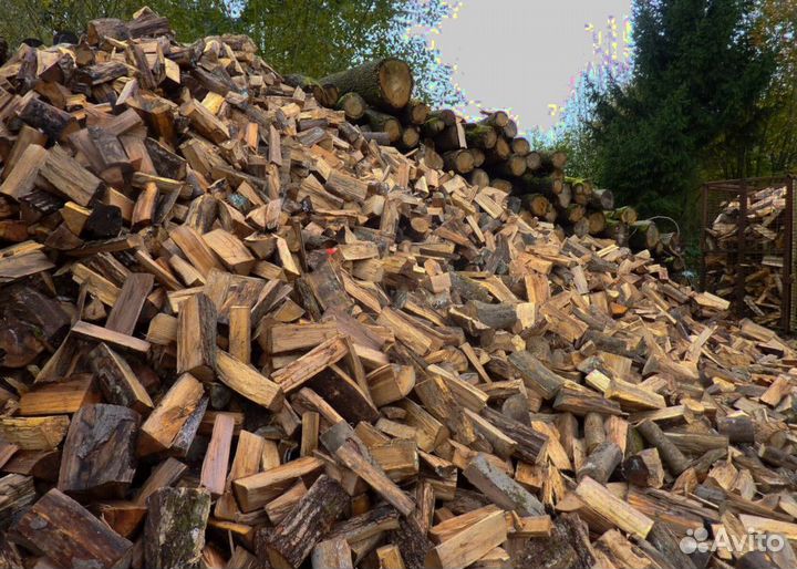 Дрова со Всеволожска