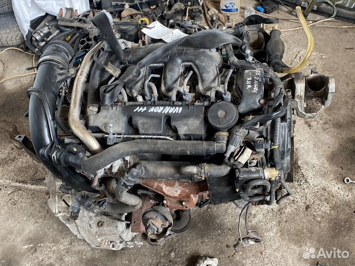 Citroen,Пежо двигатель 2,0 Hdi модель RHR