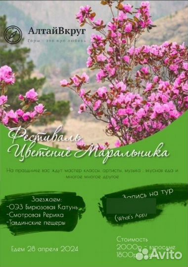 Тур Цветение Маральника